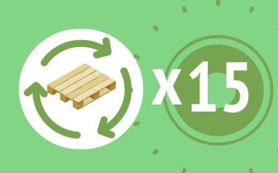 Descubre los Beneficios Ambientales de Usar Pallets de PVC en tu Negocio