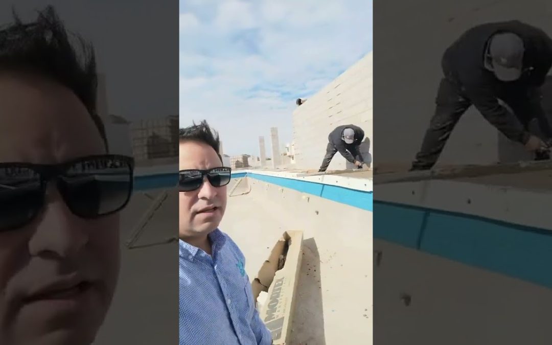 Descubre los Increíbles Beneficios de las Tarimas Termoformadas para tu Negocio