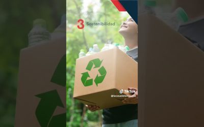 Descubre los Increíbles Beneficios de las Tarimas de Plástico Reciclado para tu Negocio