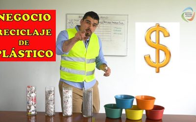 Guía Completa para Elegir las Mejores Tarimas Plásticas Recicladas en 2023