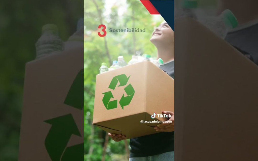 Tarimas Plásticas Recicladas: ¿Son una Buena Opción?