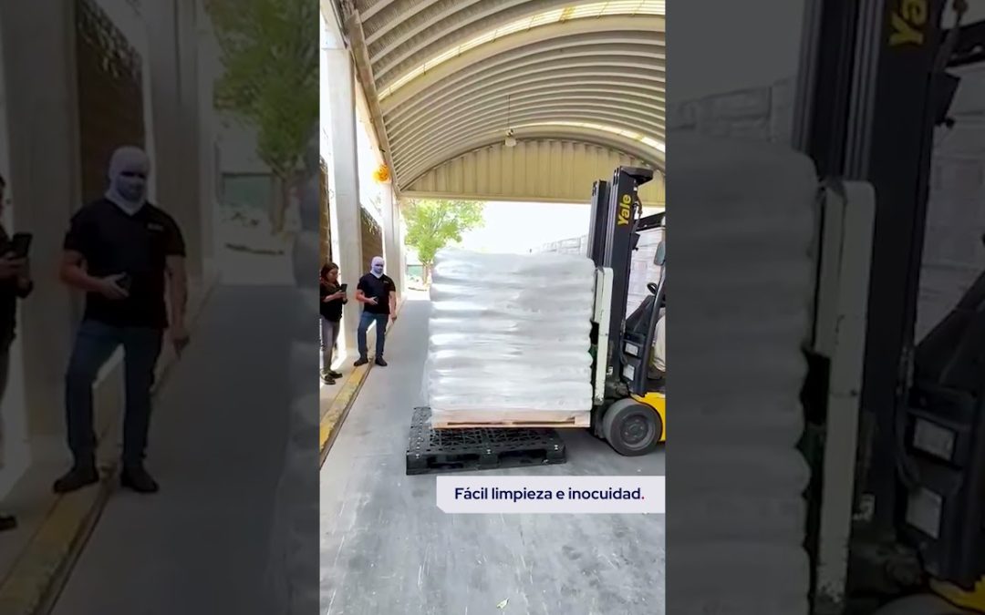 Tarimas Plásticas Usadas: Opciones en Monterrey