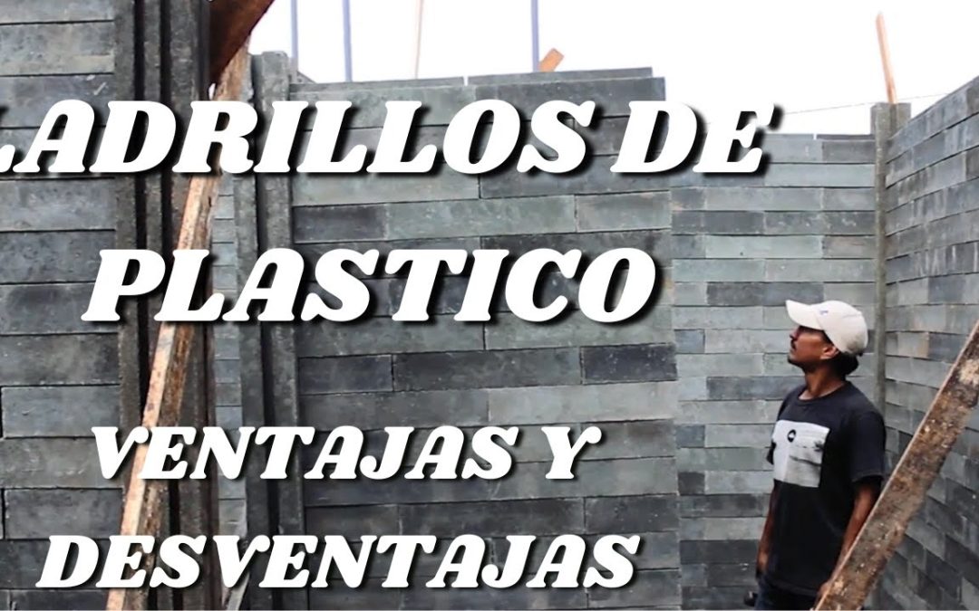 Descubre sus Ventajas y Desventajas