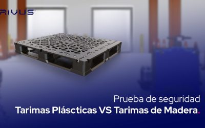 ¿Cuál es la Mejor Opción?