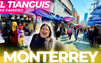 Guía Completa y Mejores Opciones