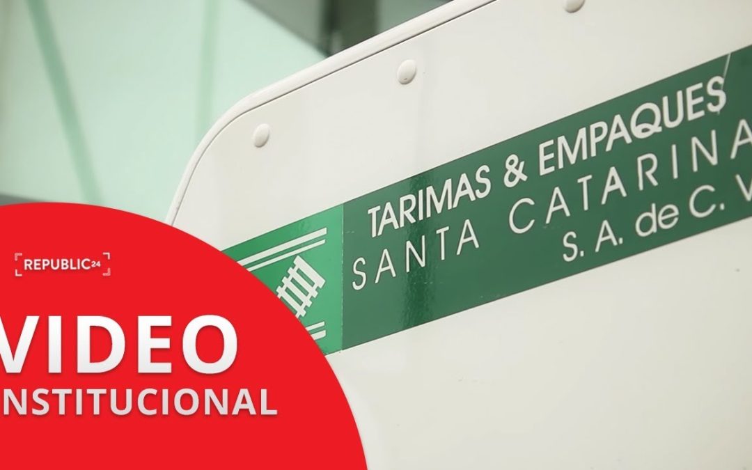 ¿Qué Tipos de Tarimas Plásticas Existen en Monterrey?